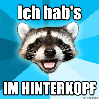 Ich hab's IM HINTERKOPF  Lame Pun Coon