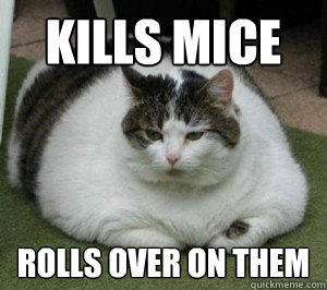 kills mice rolls over on them  Fat Cat