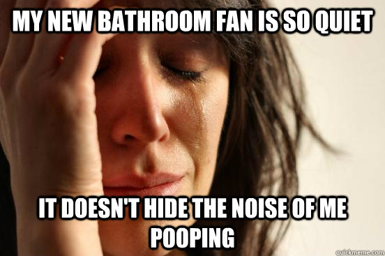 my new bathroom fan is so quiet it doesn't hide the noise of me pooping   First World Problems