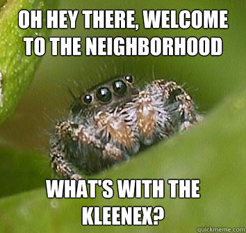 oh hey there, welcome to the neighborhood what's with the kleenex?  Misunderstood Spider