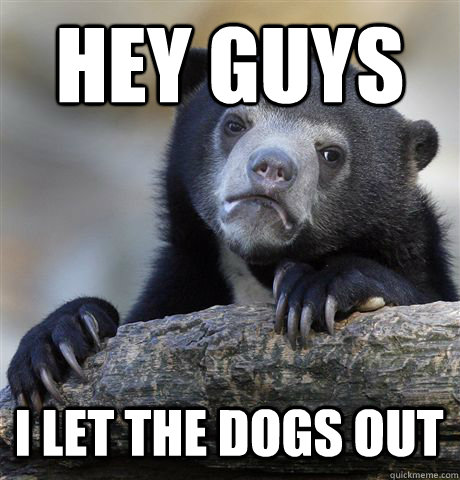 Hey guys  i let the dogs out  Confession Bear