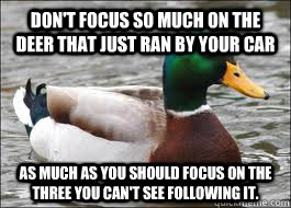 Don't focus so much on the deer that just ran by your car As much as you should focus on the three you can't see following it. - Don't focus so much on the deer that just ran by your car As much as you should focus on the three you can't see following it.  Good Advice Duck