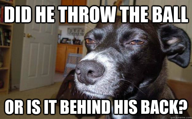 did he throw the ball or is it behind his back? - did he throw the ball or is it behind his back?  Skeptical Mutt