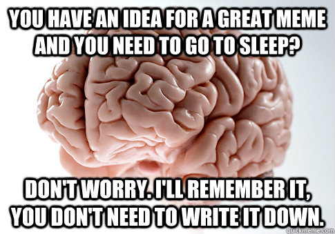 You have an idea for a great meme and you need to go to sleep? Don't worry. I'll remember it, you don't need to write it down.  Scumbag Brain