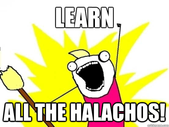 LEARN ALL THE HALACHOS!  