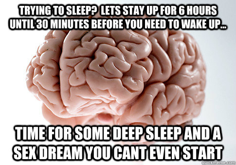 Trying to sleep?  Lets stay up for 6 hours until 30 minutes before you need to wake up... Time for some deep sleep and a sex dream you cant even start  ScumbagBrain