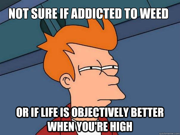 Not sure if addicted to weed Or if life is objectively better when you're high  Futurama Fry