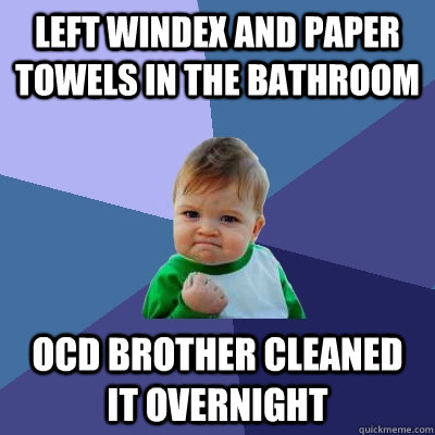 Left windex and paper towels in the bathroom OCD brother cleaned it overnight  Success Kid