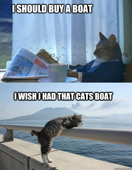 I wish i had that cats boat Daydreamer Cat Sees Sophisticated Cat