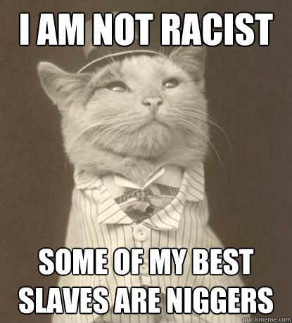 I am not racist Some of my best slaves are niggers  Aristocat