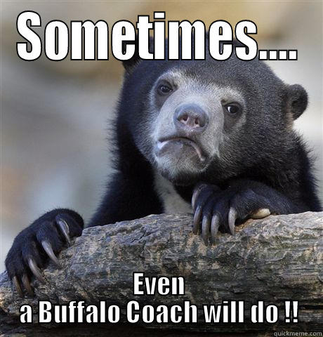 Browns Head Coach - SOMETIMES.... EVEN A BUFFALO COACH WILL DO !! Confession Bear