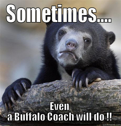 SOMETIMES.... EVEN A BUFFALO COACH WILL DO !! Confession Bear