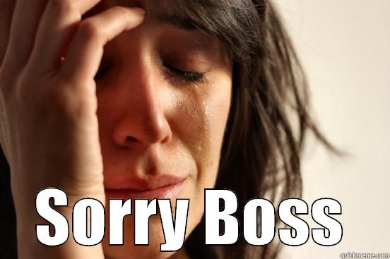  SORRY BOSS First World Problems
