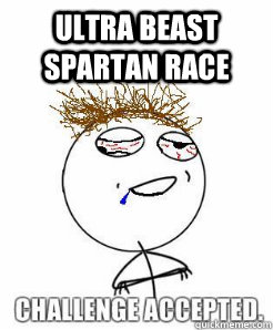 Ultra Beast Spartan Race   