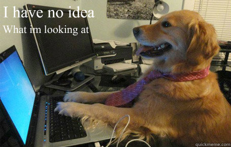 I have no idea What im looking at - I have no idea What im looking at  no idea laptop dog