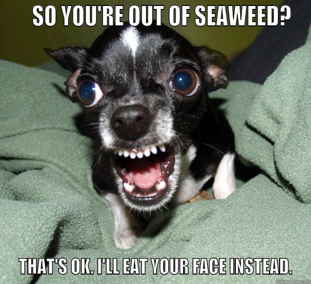 Koreans and Seaweed -     SO YOU'RE OUT OF SEAWEED?  THAT'S OK. I'LL EAT YOUR FACE INSTEAD. Chihuahua Logic