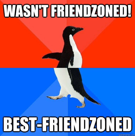 Wasn't friendzoned! Best-friendzoned  Socially Awesome Awkward Penguin