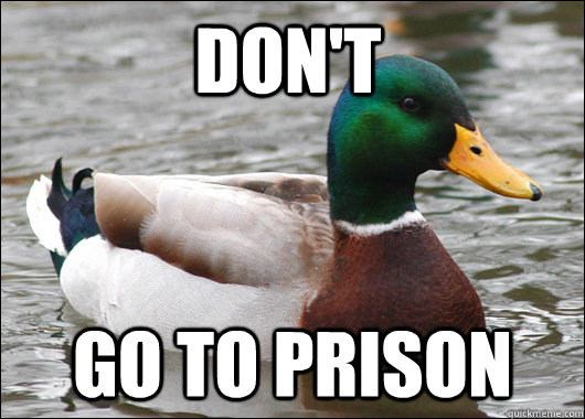 Don't Go to prison  Actual Advice Mallard