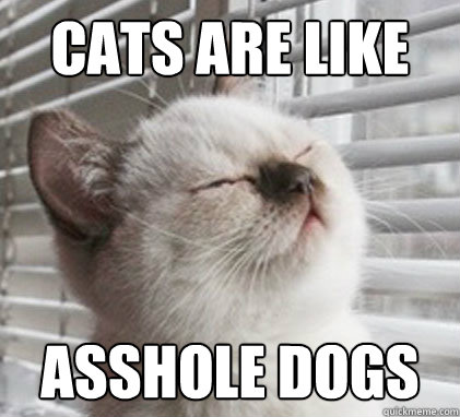 cats are like asshole dogs  10cat