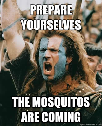 PREPARE YOURSELVES THE MOSQUITOS ARE COMING  Braveheart