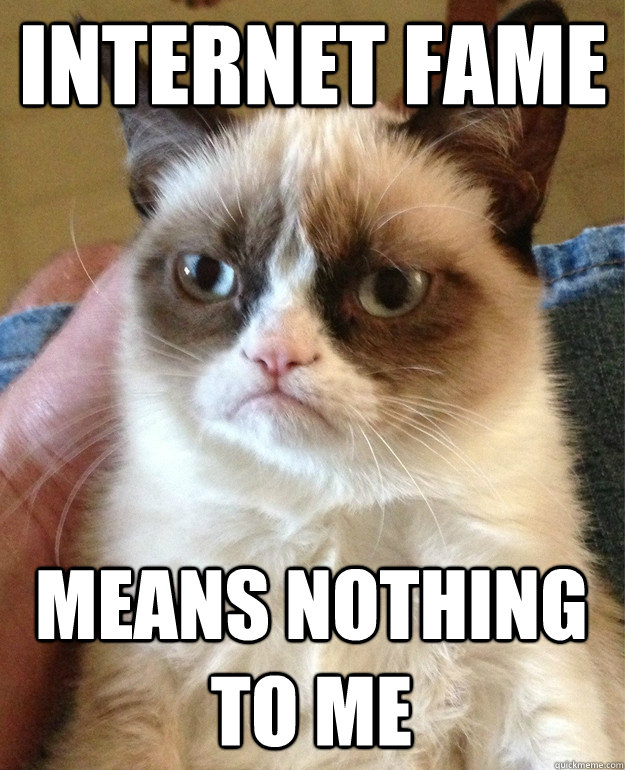 Internet Fame Means nothing to me  Grumpy Cat