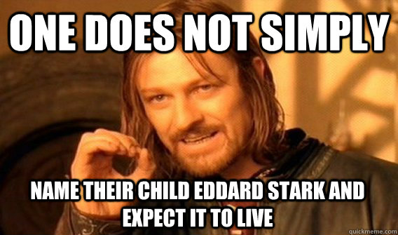 ONE DOES NOT SIMPLY NAME THEIR CHILD EDDARD STARK AND EXPECT IT TO LIVE  One Does Not Simply