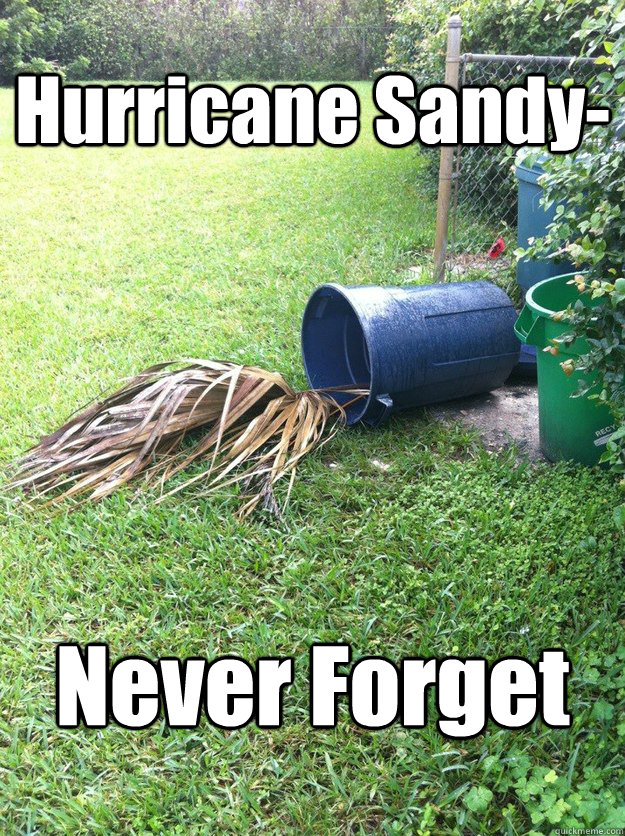 Hurricane Sandy- Never Forget - Hurricane Sandy- Never Forget  Hurricane Sandy