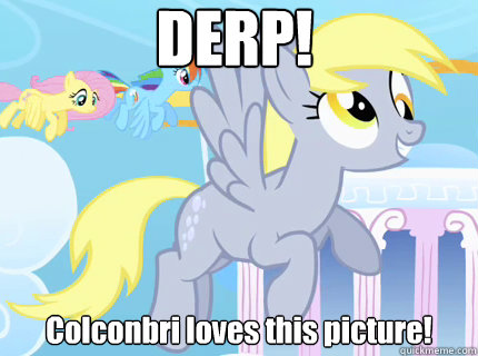 DERP! Colconbri loves this picture! - DERP! Colconbri loves this picture!  Derpy hooves