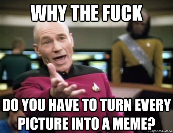WHY THE FUCK Do you have to turn every picture into a meme?  Annoyed Picard HD