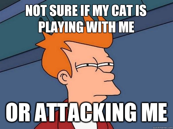 Not sure if my cat is playing with me Or attacking me - Not sure if my cat is playing with me Or attacking me  Futurama Fry