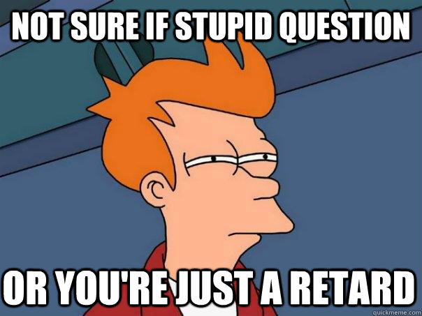 not sure if stupid question or you're just a retard  Futurama Fry