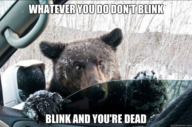 Whatever you Do don't Blink Blink And You're Dead  