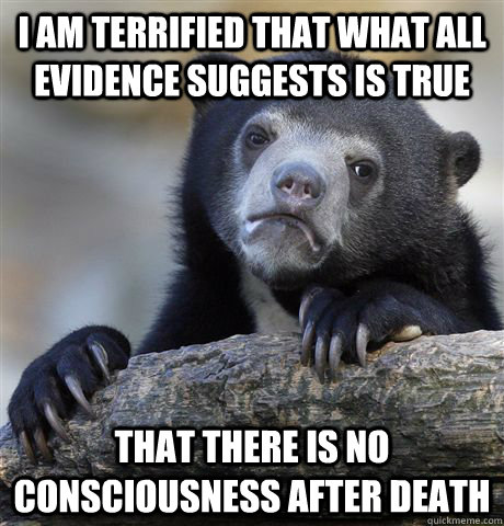 I am terrified that what all evidence suggests is true that there is no consciousness after death  Confession Bear