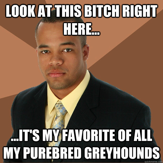 look at This bitch Right Here... ...it's my favorite of all my purebred greyhounds  Successful Black Man