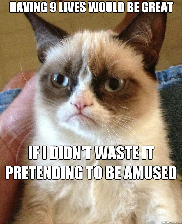 having 9 lives would be great if I didn't waste it pretending to be amused when people call me a Pussy. Im a cat asshole.   Grumpy Cat