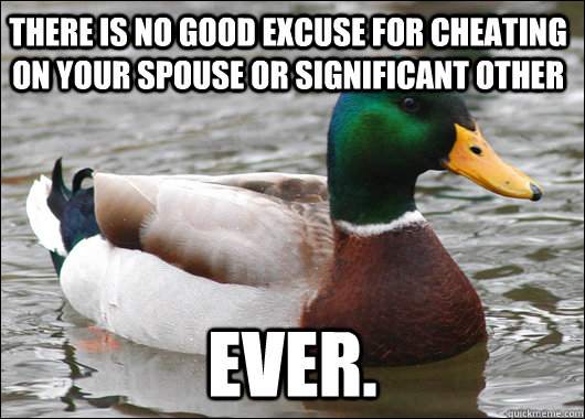 there is no good excuse for cheating on your spouse or significant other ever.  Actual Advice Mallard
