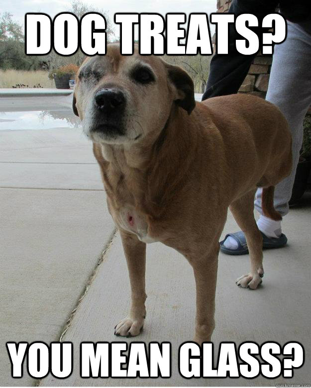 dog treats? you mean glass?  overly tough dog