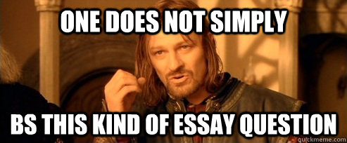 One does not simply BS this kind of essay question  One Does Not Simply