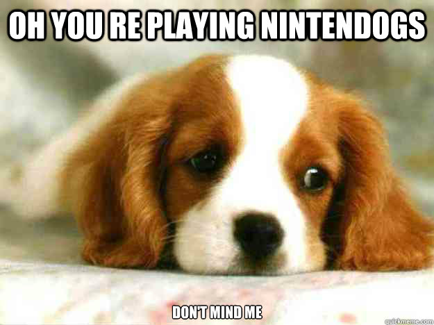 Oh you re playing nintendogs don't mind me  Sad Dog