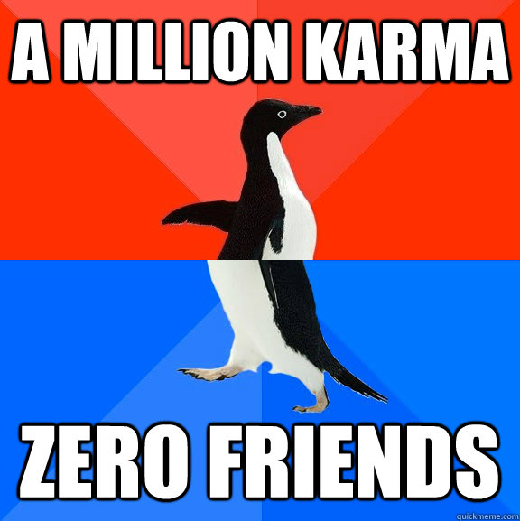 A MILLION KARMA ZERO FRIENDS  Socially Awesome Awkward Penguin