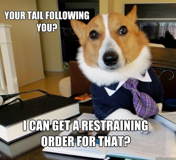 YOUR TAIL FOLLOWING YOU? I CAN GET A RESTRAINING ORDER FOR THAT?  Lawyer Dog