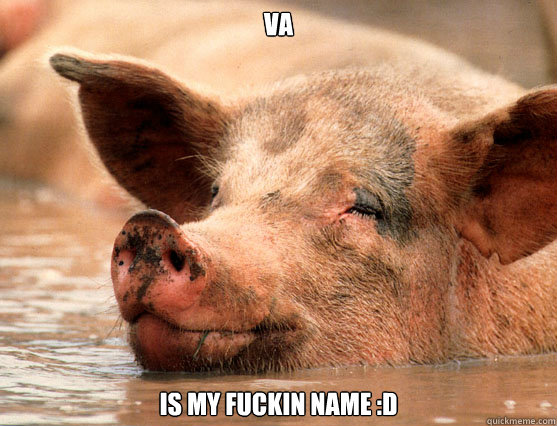 VA IS MY FUCKIN NAME :D  Stoner Pig