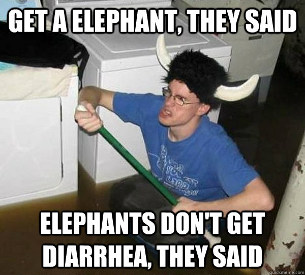 Get a elephant, they said Elephants don't get diarrhea, they said  They said