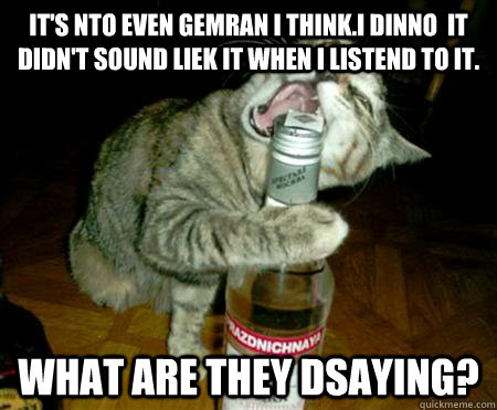 IT's nto even gemran i think.I dinno  It didn't sound liek it when i listend to it. WHAT ARE THEY DSAYING?  Drunk Cat