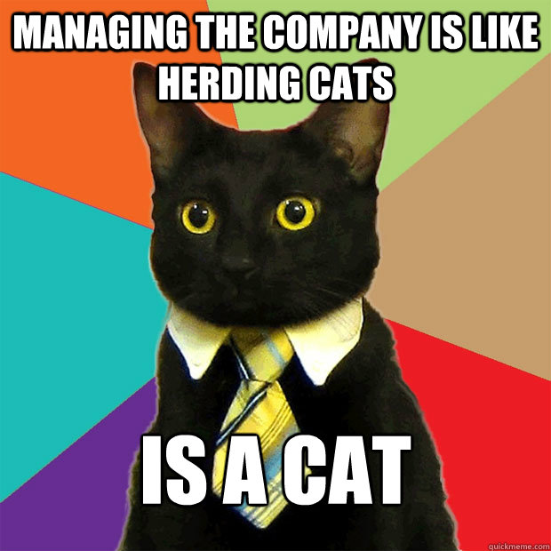 managing the company is like herding cats is a cat  Business Cat