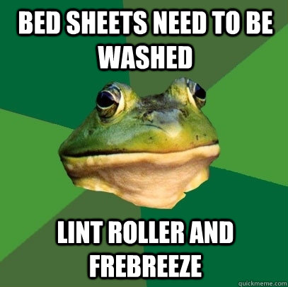 Bed sheets need to be washed Lint roller and frebreeze  Foul Bachelor Frog