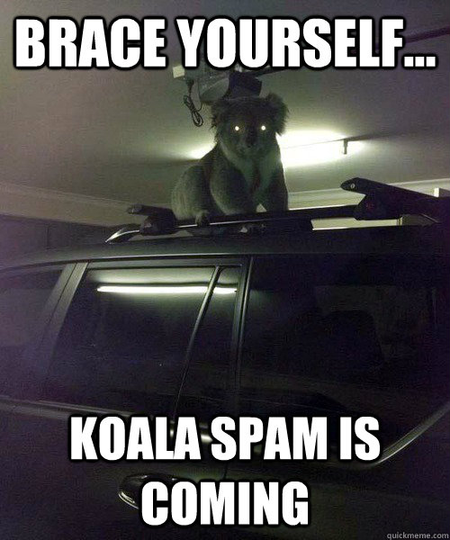 Brace yourself... Koala spam is coming  Koala