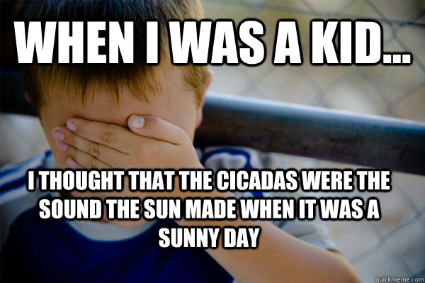 WHEN I WAS A KID... I thought that the cicadas were the sound the sun made when it was a sunny day  Confession kid