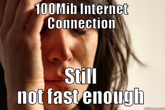 100MIB INTERNET CONNECTION STILL NOT FAST ENOUGH First World Problems