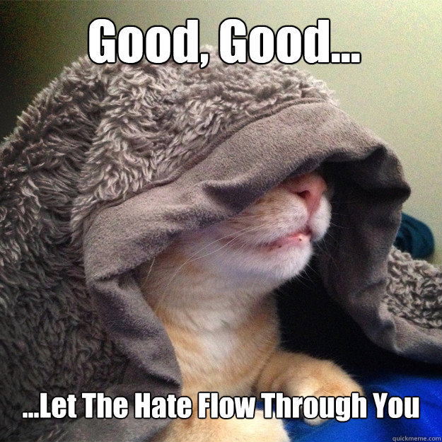 Good, Good... ...Let The Hate Flow Through You - Good, Good... ...Let The Hate Flow Through You  Emperor Cat